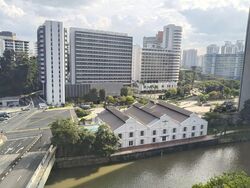 Watermark Robertson Quay (D9), Apartment #581118791